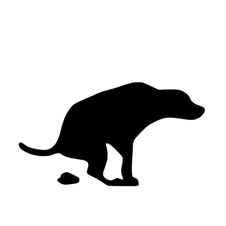 Dog Pooping Car Decal Dogdoo Vinyl Decal Dog Car Truck - Etsy Singapore Dog Pooping Car Decal Dogdoo Vinyl Decal Dog Car Truck - Etsy Singapore