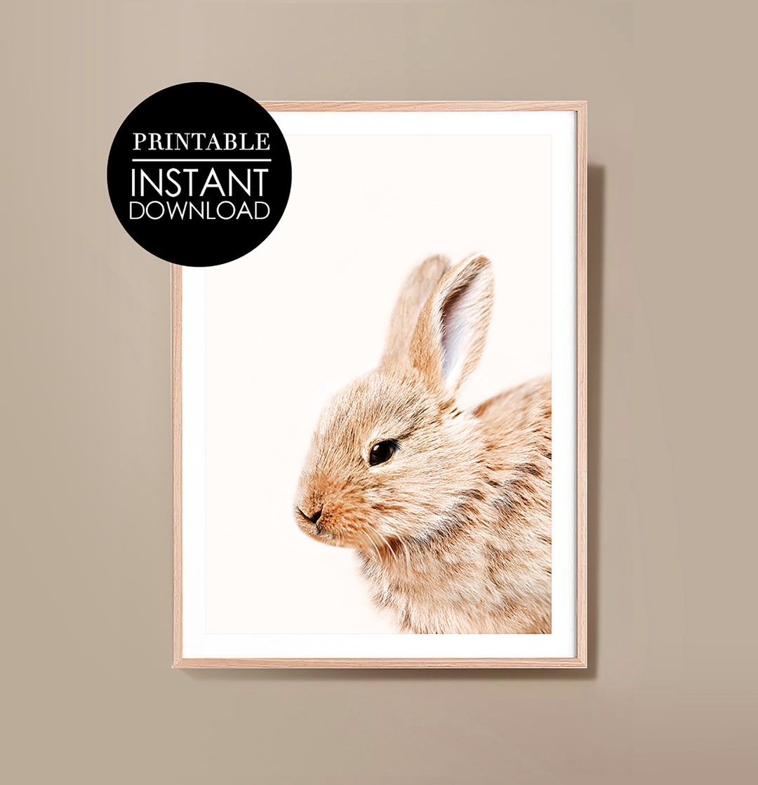 Small Rabbit Print Bunny Print, Rabbit Art, Nursery Wall Art, Printable Rabbit, Digital ...