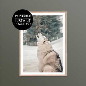 Wolf Digitaldruck, Wolf Kunst, druckbare Wandkunst, Digitaldruck, Dekor, Urlaub Druck, Wolf im Schnee, Winter TierKunst
