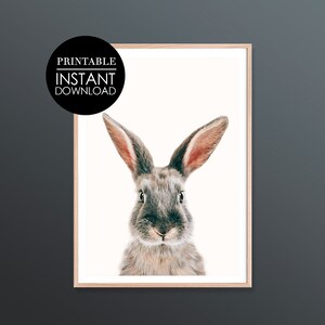 Bunny Rabbit Print, Bunny Nursery Wall Art, Printable Animal, Digital Download Poster, Cute Bunny Digital Print, Hare Printable, Kids Room