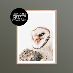 Owl Digital Print, Owl Art, Bird Wall Art Print, Bird Prints, Owl Poster, Woodland Owl, Printable Wall Art, Digital Print, Decor