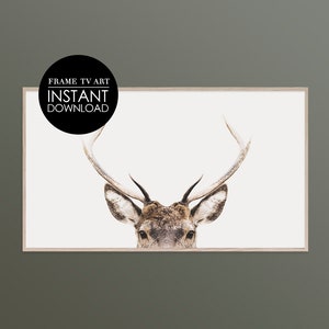 Samsung Frame TV Art, Deer Art, Antler Art, Frame TV Art, Samsung Frame Art, Digital Download, Decor, Minimalist Art, Modern Art