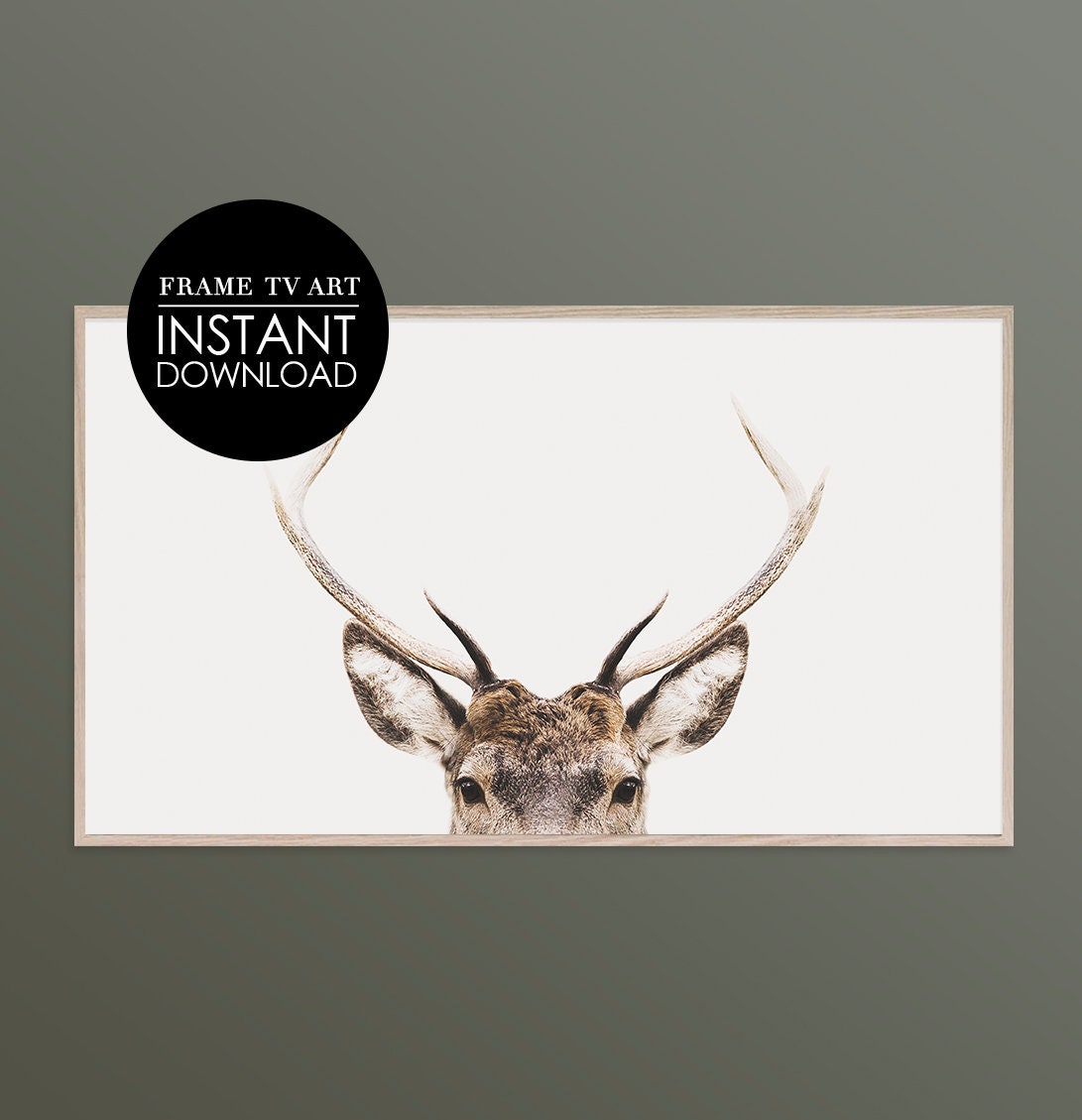 H7R Marrone Large Antler Festive Productions poliresina Antler Ornamento H7R Marrone Large Antler Festive Productions poliresina Antler Ornamento