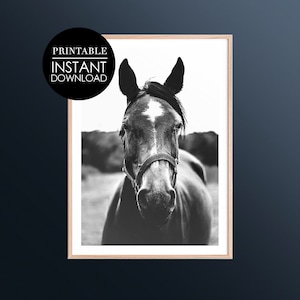 Paard Digitale Print, Paard Print, Paard In Sneeuw, Digitale Print, Decor, Winter Print, Afdrukbare Fotografie, Monochroom, Zwart&Wit