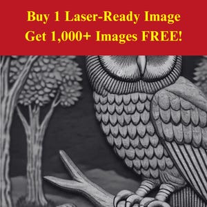 Uil nachtafbeelding laserbrandbestand | Woodland maan natuur digitale download | 3D-illusie-graphics, png-foto voor Glowforge XTool