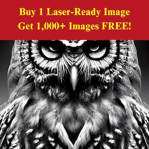Owl Eyes Image Laser Burn-bestand | Digitale download nachtelijke roofdiervogel | 3D-illusie-graphics, png-foto voor Glowforge XTool