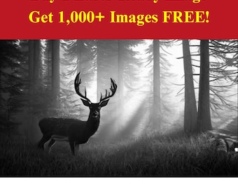 Deer in Forest Image Laser Ready Burn File | Woodland Wildlife Nature Scene Digital Download | 3D Illusion Graphics PNG Photo for Glowforge