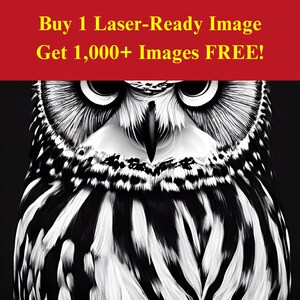 Uil portret afbeelding laserbranden | Nachtelijke roofvogel digitale download | 3D-illusie-graphics, png-foto voor Glowforge XTool