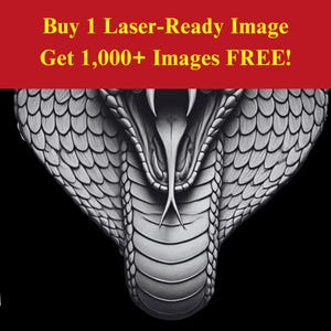 Cobraslang afbeelding laserbranden leisteenbestand | Digitale download Venom Fangs Strike | 3D-illusie-graphics, png-foto Glowforge
