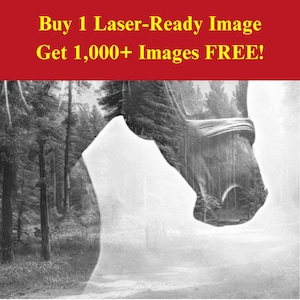 Image de forêt cheval fichier prêt à graver au laser | Scène forestière nature équine en téléchargement numérique | Illusion graphique 3D Photo PNG pour Glowforge