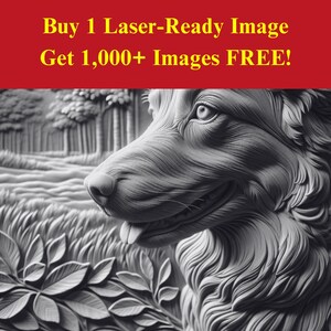 Border Collie Bild Laser Brennen Schieferdatei | Tierportrait Waldszene Digitaler Download | 3D Illusion Grafiken PNG Foto Glowforge