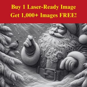 Fichier de gravure laser Image Santa Bird | Noël pin hiver ami téléchargement numérique | Illusion graphique 3D Photo PNG pour Glowforge XTool
