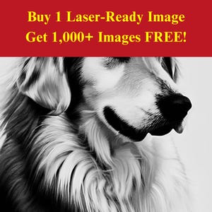 Berner Sennenhund Bild Laser Brenndatei | Detailliertes Hunde Portrait Canine Art Digitaler Download |3D Illusion GrafikenPNG Foto für Glowforge