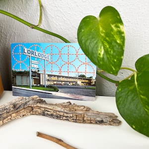 May include: A vintage postcard featuring the Lorlodge motel, with a sign and a mid-century modern building. The postcard has a blue sky background with a decorative pattern. A piece of driftwood and a green plant are in the foreground.