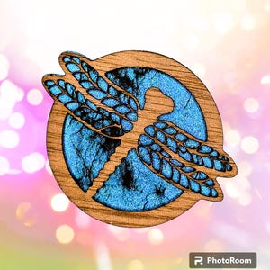 May include: A wooden circle with a blue dragonfly design. The dragonfly is outlined in black and has a glittery blue finish.