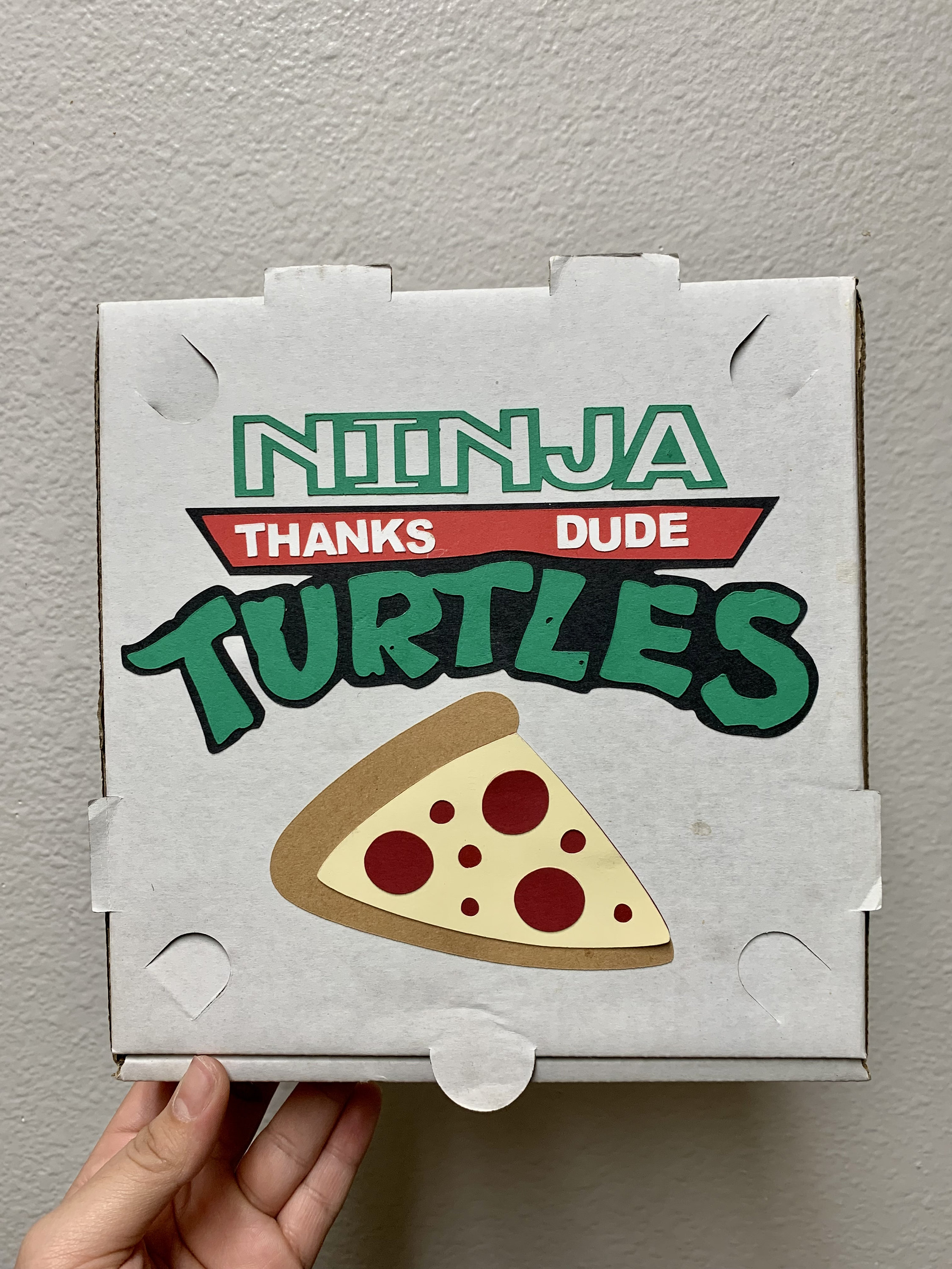 Personal Size Ninja Turtles Birthday Party Pizza Box 