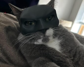 Cat Bat Mask: Pet Costume for Cats and Small Dogs