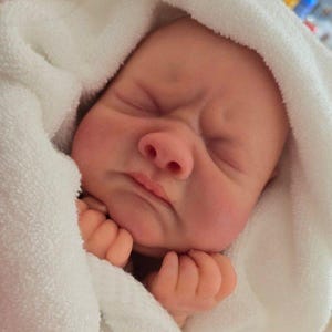 Hand-Painted Partial Silicone Baby Doll: Realistic Flora with Rooted Eyelashes