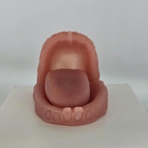 Silicone Baby Gums: Ecoflex 00-20 - For Reborn Art Dolls