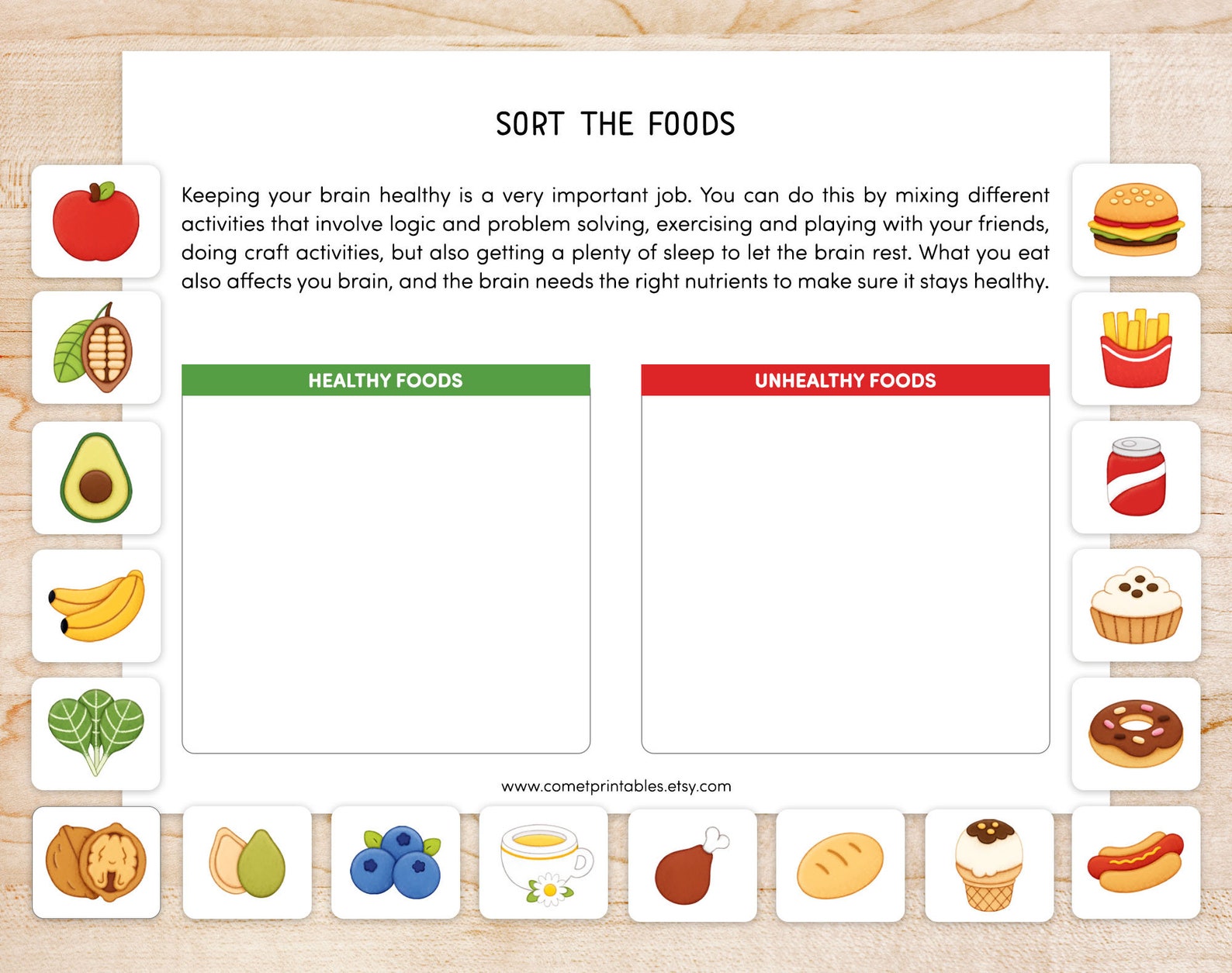 Human Brain Preschool Worksheet, Brain Anatomy Matching Activities ...