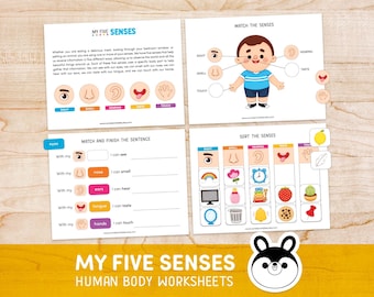 Five Senses Toddler Busy Book, 5 Senses Pre-K Activity, Human Body Preschool Worksheets, Montessori Human Anatomy, Kindergarten Curriculum