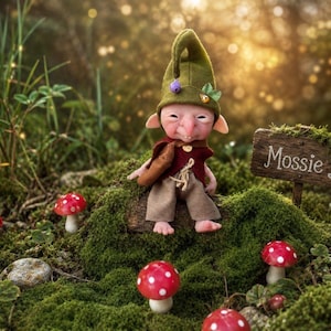 May include: A small doll with a pointed green hat, a maroon vest, and tan pants, sitting on a mossy surface. The doll has large ears and a prominent nose. Beside the doll is a wooden sign with the word Mossie written on it, surrounded by red mushrooms.
