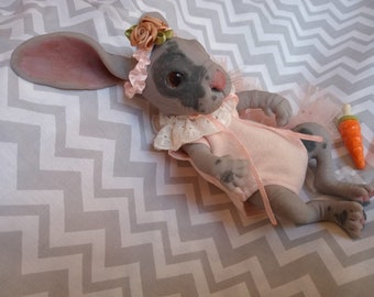 SPOT the Hairless Baby Bunny