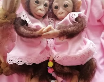 André or Georgie the monkey-Monkey business silicone babies FREE SHIPPING