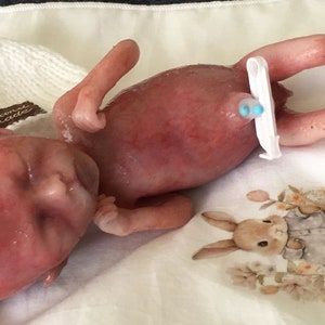 18-20 week gestation fetus memorial silicone baby FREE SHIPPING