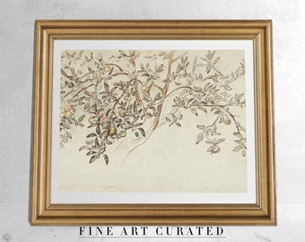Minimalistische rustieke neutrale appelboom schets, vintage boerderij keuken art print, antieke botanische tekening, rustieke land kunst print, digitaal