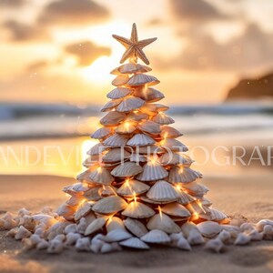Árbol de Navidad de conchas en la pared de la playa, arte para la habitación de los niños, decoración de pared de playa para Navidad, arte de pared de playa