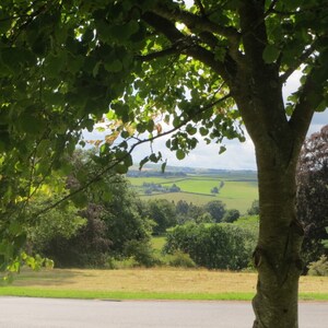 English High Summer