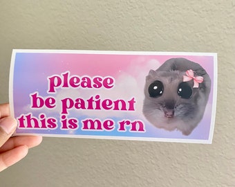 Sad hamster Please be patient Bumper Sticker, Hamster Meme Car Decal Sticker