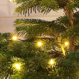May include: A close-up of a green Christmas tree with warm white fairy lights strung throughout the branches.