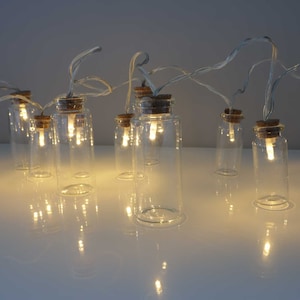 May include: A string of fairy lights with clear glass bottles and cork tops. The lights are strung on a clear wire and are turned on, illuminating the bottles with a warm white glow.