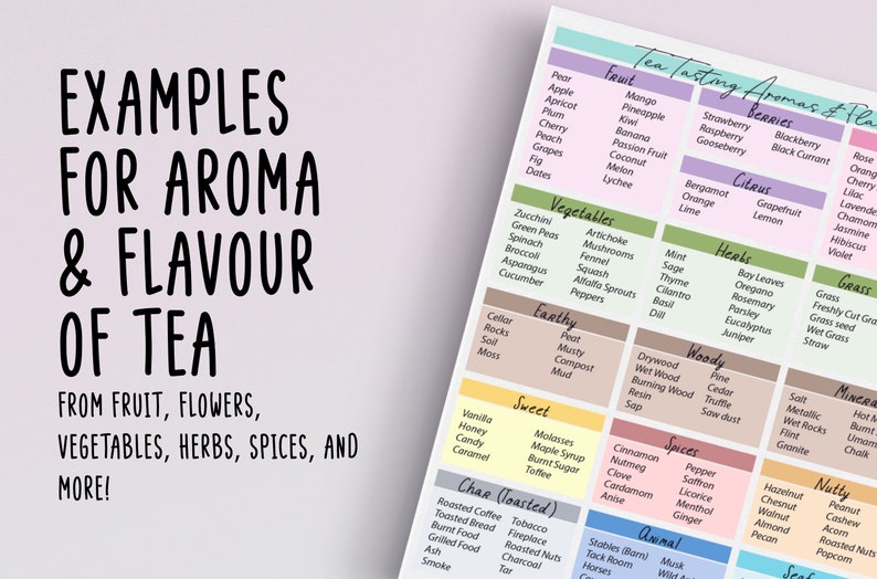 Tea Tasting Guide: Tasting Notes For Tea Tea Aromas & Flavours Digital Download 8.5 x 11 3.5 x 5.5 Pocket Size Printable image 3