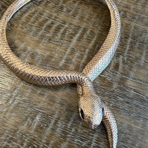 Pode incluir: Um colar gargantilha de metal em tom de ouro rosa com formato de serpente enrolada. A superfície apresenta um padrão de escamas texturizado e detalhado por todo o corpo. A cabeça da serpente está posicionada na frente com olhos escuros e fecho.
