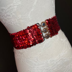 sparkly tie belt