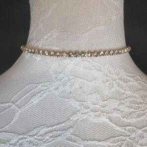 Può includere: Una delicata collana a catena dorata con strass trasparenti. La collana è su un busto di manichino bianco.