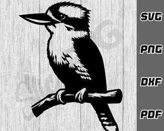 Kookaburra SVG - png - dxf - pdf - Cricut Cut File - Bird svg - Silhouette svg - Australia svg - SVG Files - Digital Download - Tshirt svg