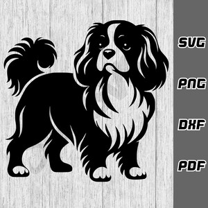 Cavalier King Charles Spaniel SVG - png - dxf - pdf - Archivo de corte Cricut - Archivos SVG - Descarga digital - Mamá de perro SVG - Cachorro SVG - Mamá de perro SVG
