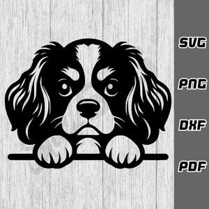 Cavalier King Charles Spaniel che sbircia SVG - png - dxf - pdf - Cricut Cut File - File SVG - Download digitale - Mamma cane SVG - Cucciolo SVG