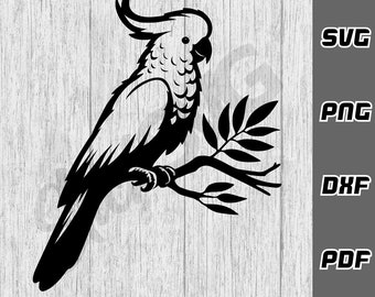 Cockatoo SVG - png - dxf - pdf - Cricut Cut File - Bird svg - Cocky svg - Australia svg - SVG Files - Digital Download -  Cockatoo shirt svg