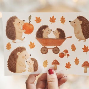 Op de afbeelding: Een herfstillustratie met egels, appels en bladeren. De afbeelding toont verschillende egels met bruine stekels, oranje appels en bladeren. Sommige egels zitten in een kruiwagen, en er zijn ook paddenstoelen.