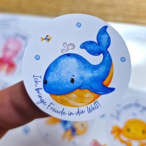 Adesivi lavabili in lavastoviglie impermeabili Affermazioni resistenti ai raggi UV Impermeabili / Per borraccia porta pranzo bicicletta balena creature marine