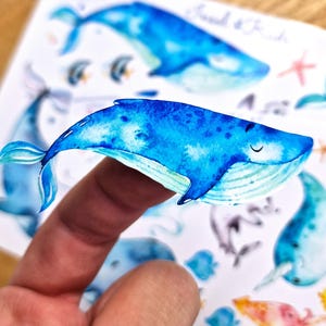 Adesivi a forma di balena lavabili in lavastoviglie – adesivi impermeabili per borracce e contenitori per il pranzo – adesivi in vinile per bambini