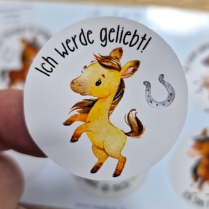 Adesivi lavabili in lavastoviglie impermeabili Affermazioni resistenti ai raggi UV Impermeabili / Per borracce cavalli pony