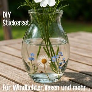 Sticker-Set Blumen – wasserfest & spülmaschinenfest – für Gläser, Windlichter, Vasen und DIY-Deko – Gänseblümchen und Vergissmeinnicht