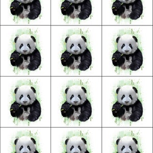 Cassoliv Panda fabric panel of 12 or 24 squares of 12x12cm for washable wipes