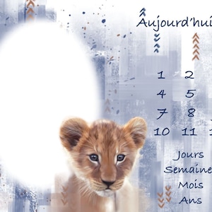 Cassoliv lion fabric coupon for stage carpet in Oeko-tex cotton poplin 129g/m2 - Dimensions: 100x75cm